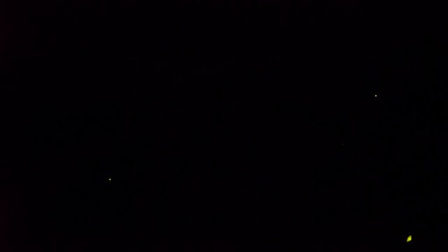 Okinawa,Japan-May 30, 2019: (Live-action)(3x speed)  Fireflies or Glowflies or lightning bugs in Ishigaki island, Okinawa, Japan.