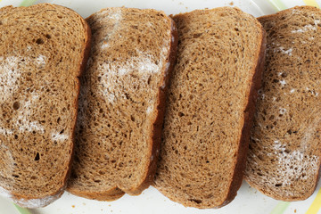 Sliced rye bread covered with mold.