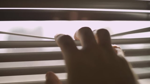 Close up on a hand holding open a window blind to look outside