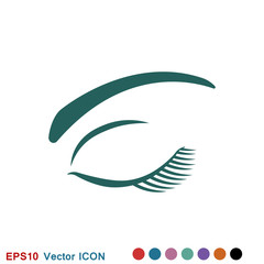 Beautiful eye icon with eyebrow brush for logo
