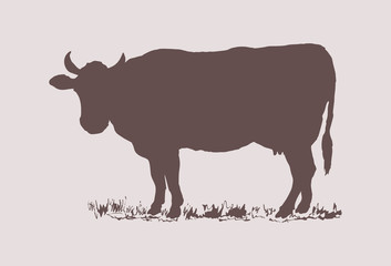 Cow silhouette vector. Farm animal and grass on the pasture