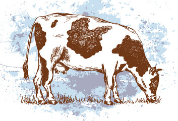Cow standing hand drawn, sketch style - Vector illustration. Farm animal and grass on the pasture