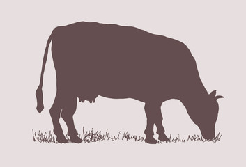 Cow silhouette vector. Farm animal and grass on the pasture