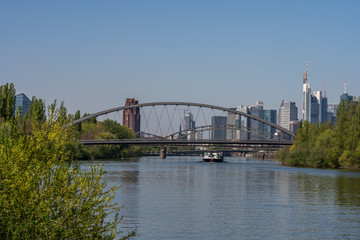 Fototapeta na wymiar view on main river and frankfurt skyline from littoral, frankfurt, hesse, germany
