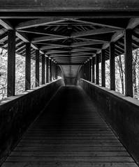 wooden bridge in Frankfurt city forest, hesse, germany