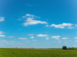 summer walk in the French countryside