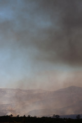 wildfire in southern california