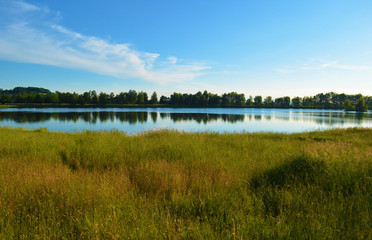 Waldsee