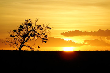 P&ocirc;r do Sol na Caatinga