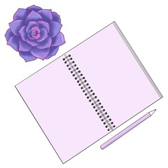 Top view of an open blank notepad on a colored background and a purple succulent beside