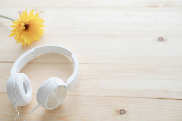 Headphones among spring blooming yellow flowers
