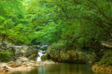 兵庫県・奥深い山の朝、赤西渓谷