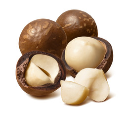 Big group of macadamia nuts isolated on white background