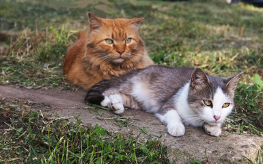 Two friends. Candid.