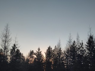 Nature of the North. Sun. Nature. Yakutia. Beauty.