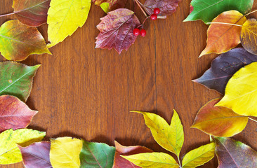 Naklejka na ściany i meble Bright autumn background. Frame of multicolored leaves on a wooden surface. Greeting card for Thanksgiving. Top view, place for text, flat lay