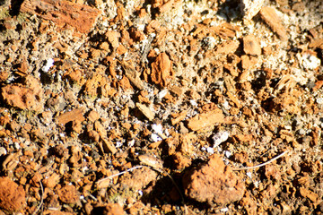 texture of stone background nature
