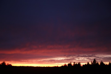 Sunset over trees and fields in countryside