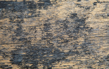 Beautiful background from old wooden.