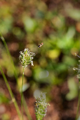 Looking for a Landing Site