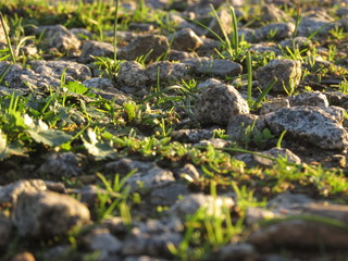 Rocks on the footpath