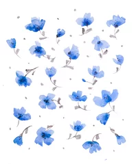 Fotobehang Vlinders Licht aquarelpatroon van delicate blauwe abstracte bloemen