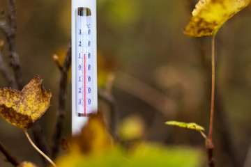 Naklejka na ściany i meble Thermometer on a blurred autumn background shows temperature plus 14. Autumn temperature_