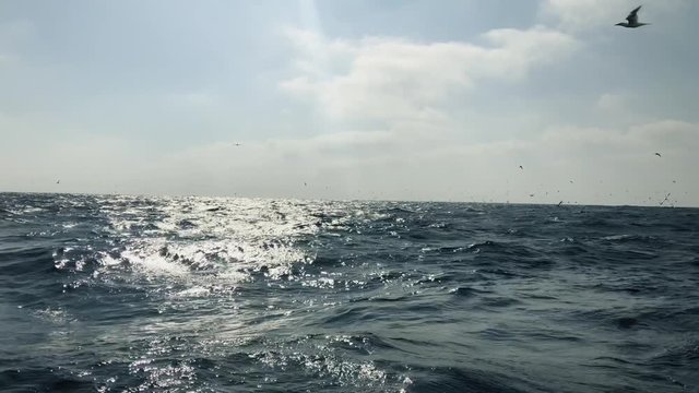 Open sea view from a boat