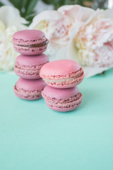 macaroons with strawberry and cocoa flavor lie on pink paper, against the background of delicate peony flowers