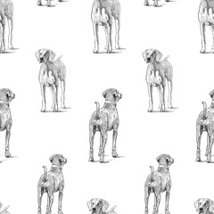 Seamless background of sketches of a hunting dog
