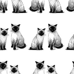 Seamless background of sketches of sitting thai cats