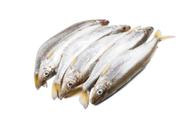 six pieces of isolated deliciouse smelt fish on white background