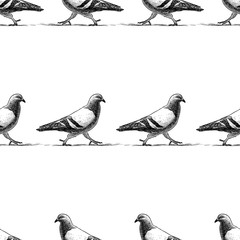 Seamless pattern of striding pigeons