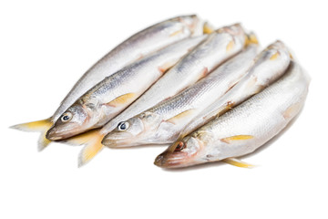 six pieces of isolated deliciouse smelt fish on white background