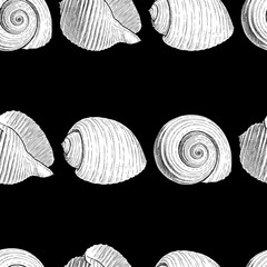 Seamless pattern of various drawn seashells