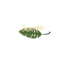 Summer vector logo tropical leaf closeup. Summer time - an exotic plant