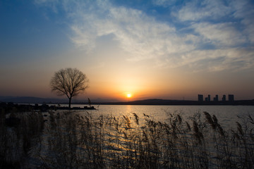 Fototapeta na wymiar Sunset, Wenchang Late in the evening,ShanDong China