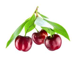 Cherries with leaves isolated on white background. Full sharpness.