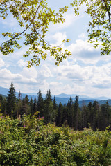 Fototapeta na wymiar view of the mountains in Carpathians