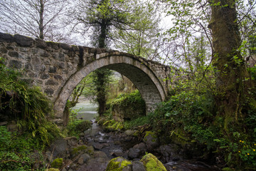 Fototapeta na wymiar Ancient stone bridge in Ajaria