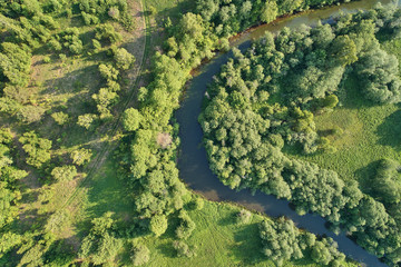 Aerial photography from the drone. Landscape with green forest