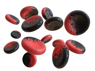 Genetically Modified Red Blood Cells