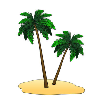 the island with palm trees on a white background. vector illustration