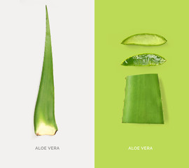Creative layout made of aloe vera. Flat lay. Food concept.
