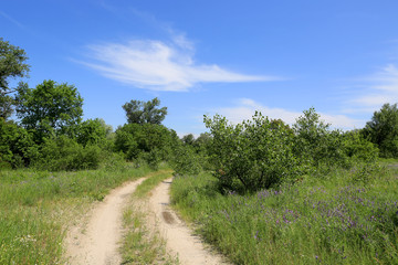 road in steppe
