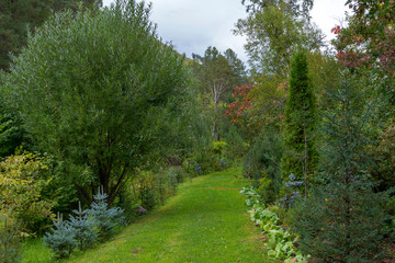 Decorative path in a beautiful garden