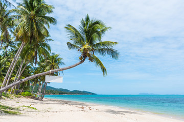 Naklejka na ściany i meble Beautiful tropical beach with palm trees
