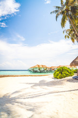 beach chair with tropical Maldives island  beach and sea