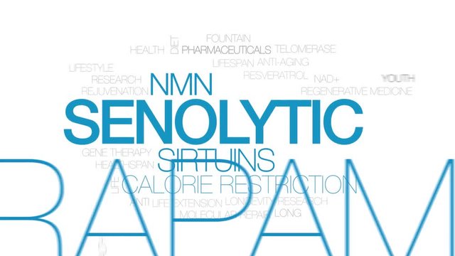 Senolytic animated word cloud. Kinetic typography.