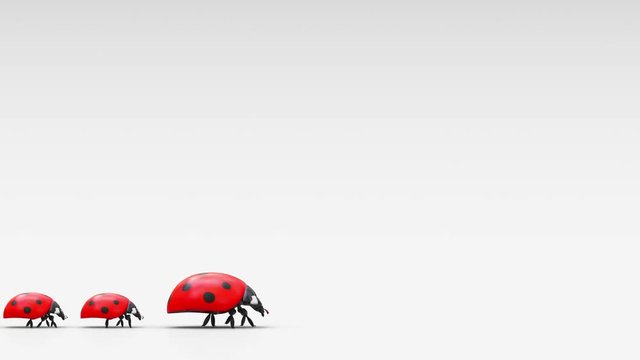 Side view of a ladybugs family that are walking in a row